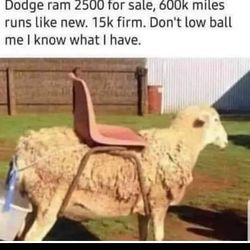 Dodge Ram Built Tough Plenty Of Life Left In Her