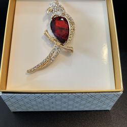 Faux Ruby And Rhinestone Parrot Broach Retails $29.99 Make me An offer 