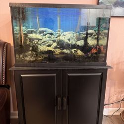 55-Gallon Aquarium Set w/ Stand, Goldfish, Cleaner Fish & Filter