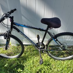 2 Bike's Everything It's Good 