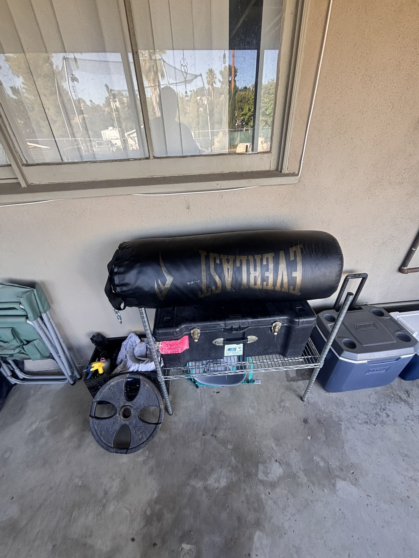 Everlast punching bag