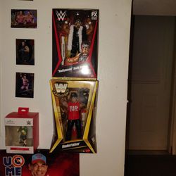 Hollywood Hulk Hogan And The Undertaker