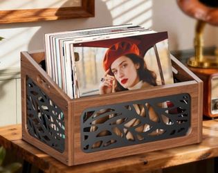 Vinyl Record Storage/Magazine File Holder
