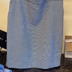 Express Skirt Size 6