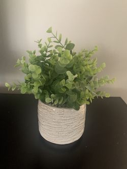 Small Fake Plant White Ceramic Base 
