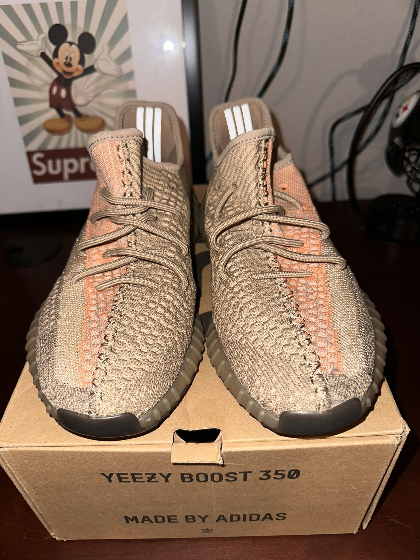 adidas Yeezy Boost 350 V2