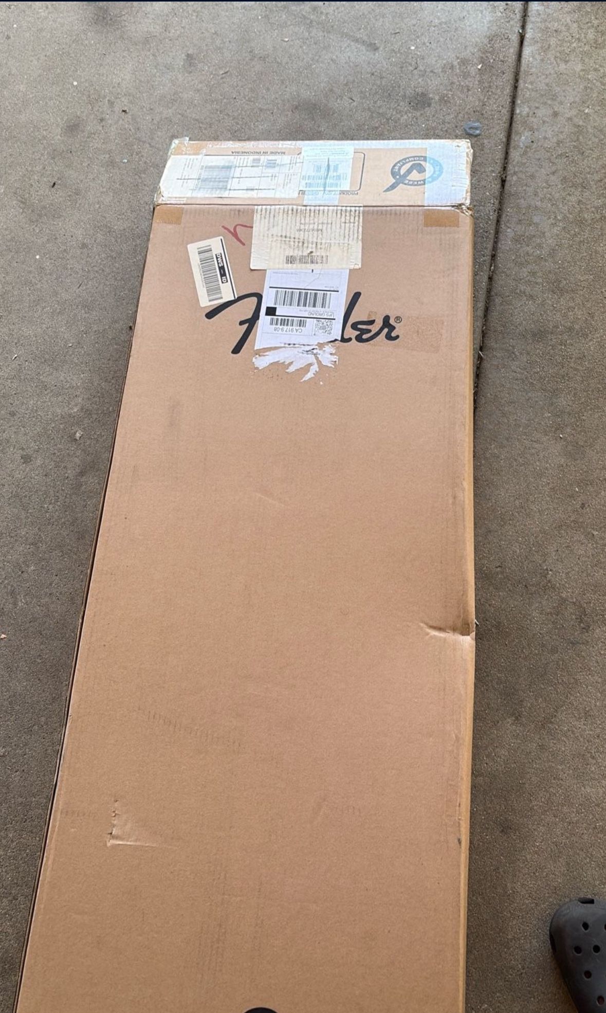 Fender 12 String Guitar