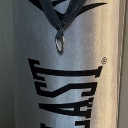 60 lb Everlast punching bag