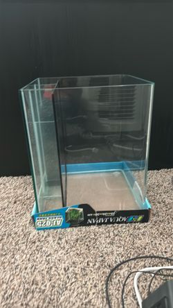 6 gallon