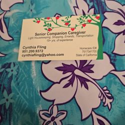 Caregiver Senior Companion