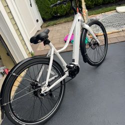 Priority E Bike