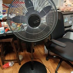 Oscillating Fan