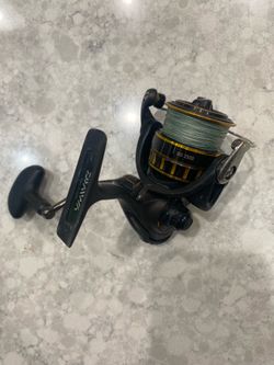 Diawa bg 2500