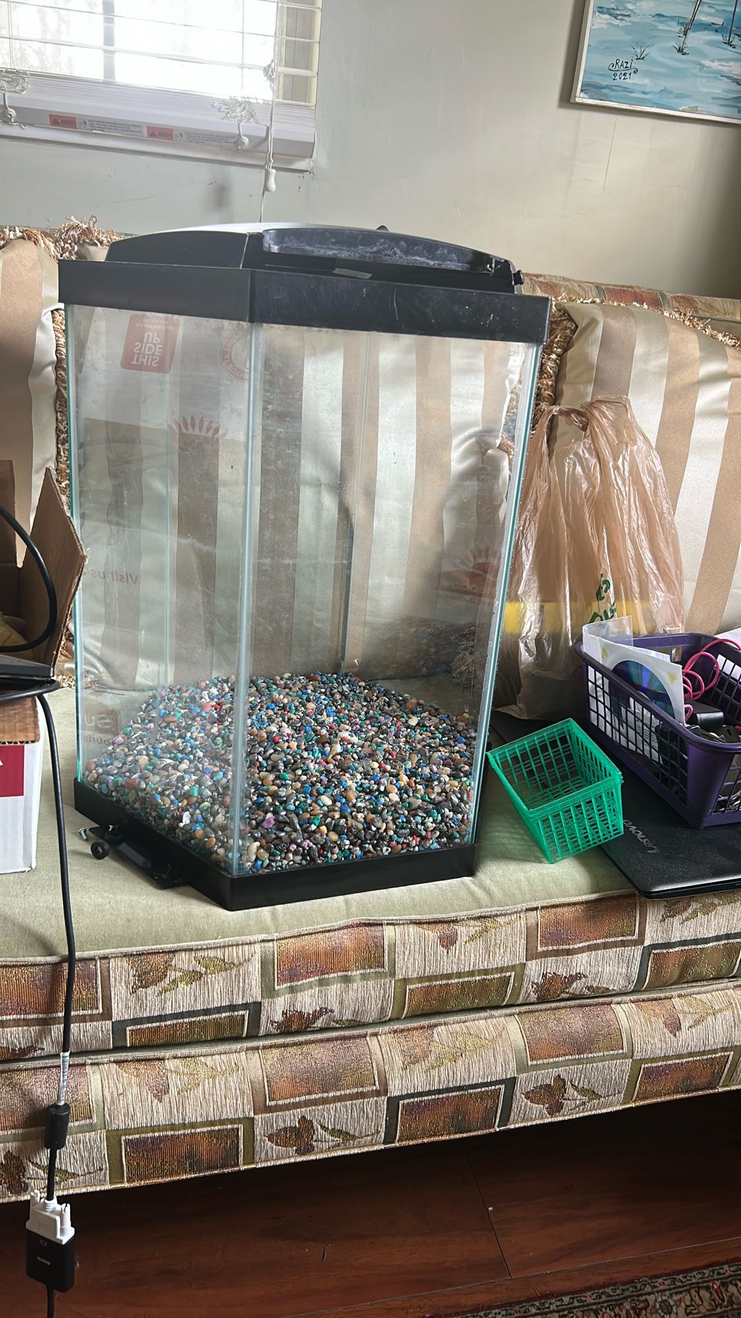 20 Gal Hexagon Aquarium