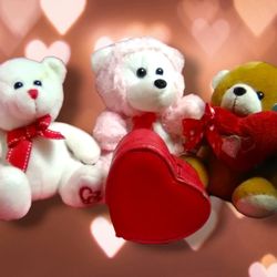 Valentine's Day Plush Teddy Bears (3)