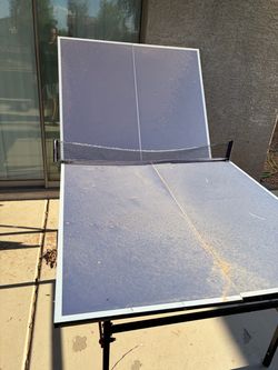 Ping Pong table