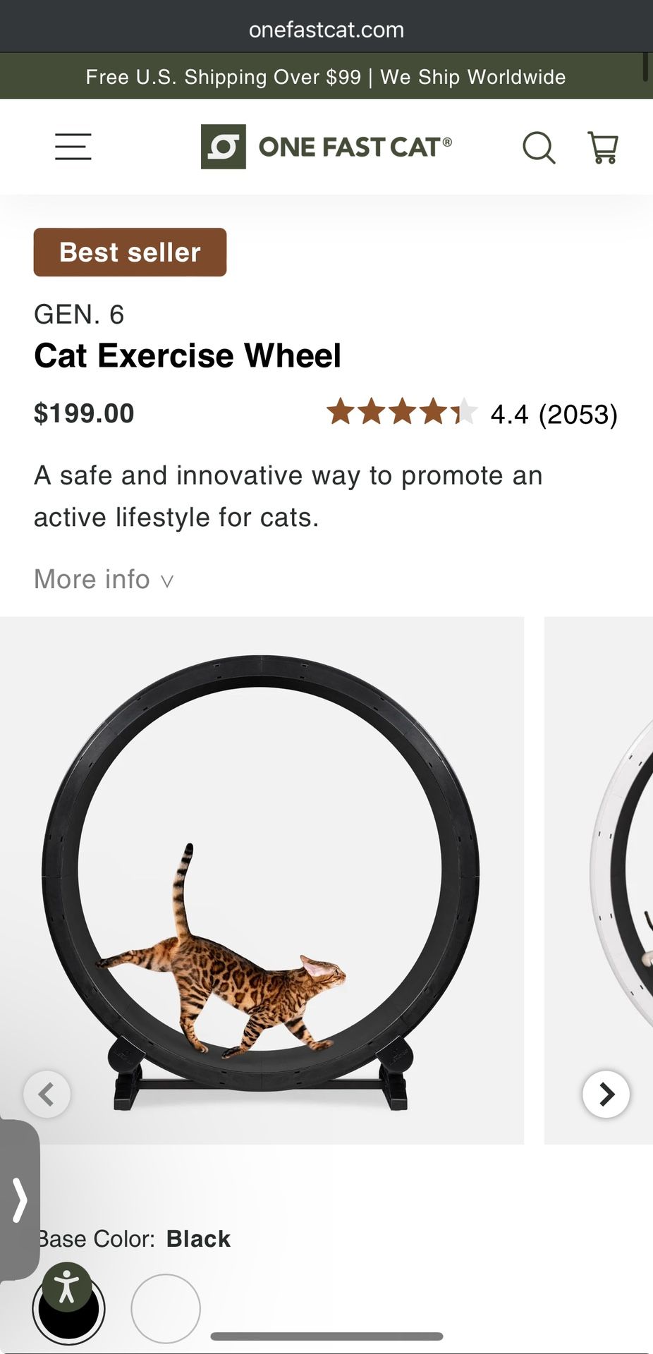 Cat Exercise Wheel - One Fast Cat cat wheel
