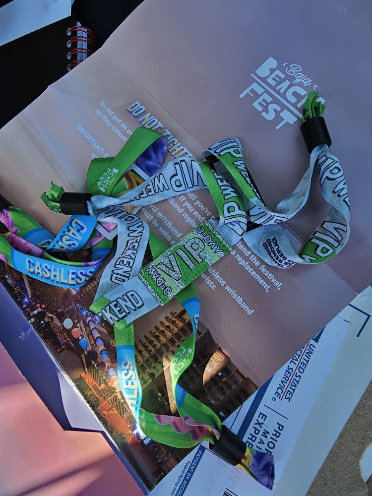 BAJA BEACH FEST 2025 VIP TICKETS
