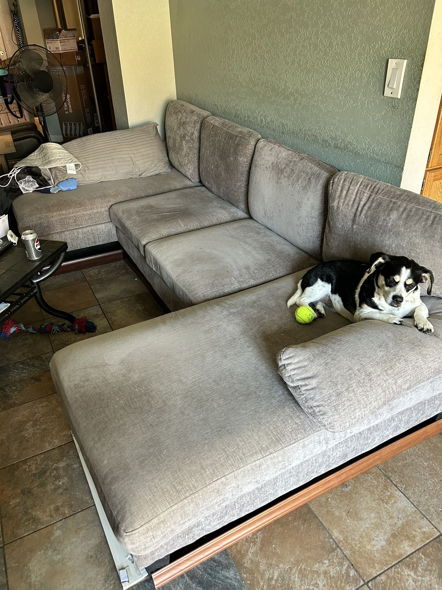 Sectional Couch
