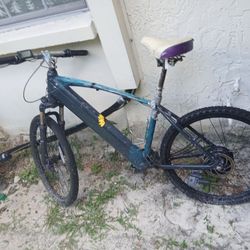 Electric bike and a 21 speed mountain bike