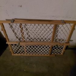 Dog Fence 