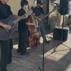 Guitarras Y Tololoche 