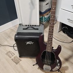 Stingray SUB Series Sterling by MusicMan Bass and Amp combo
