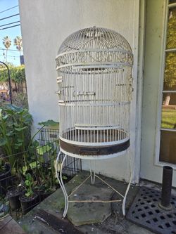 White Wrought Iron Birdcage 