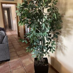 Nice Decorative Plastic Tree
