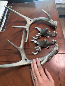 Antlers and deer hangers