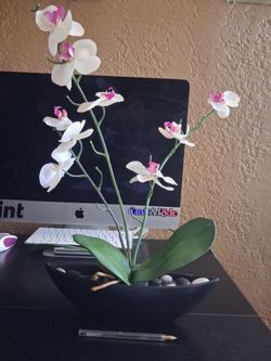 artificial orchid