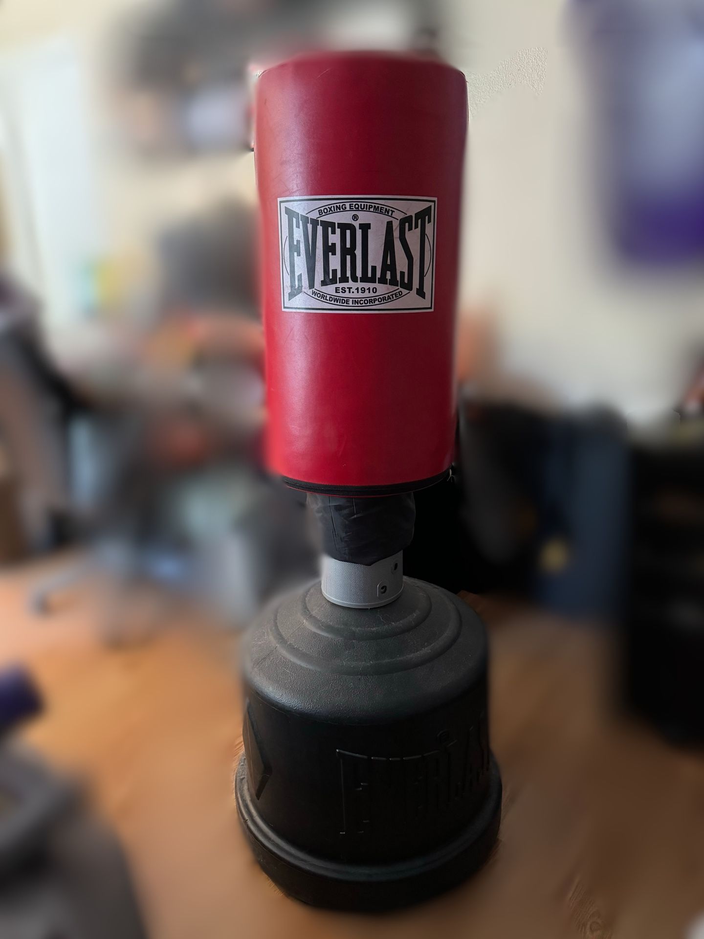 Everlast Punching Bag
