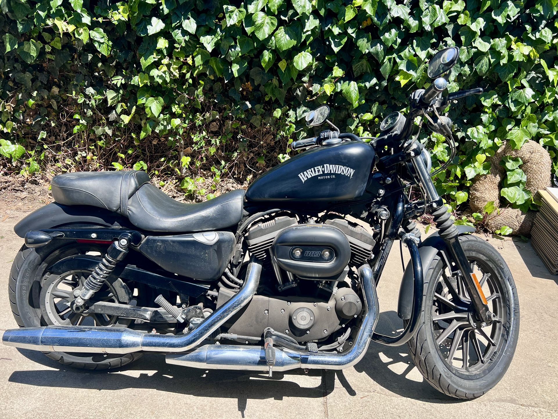 2015 Harley Davidson 883