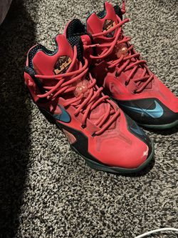 Special Edition Lebrons