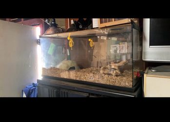 40 gal tank/enclosure