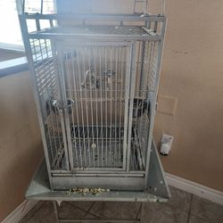 Cage African Grey