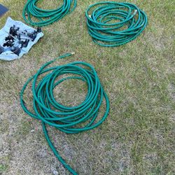 Hose And Sprinkler System