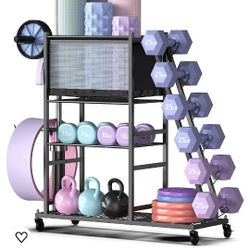 $50 HOME GYM WEIGHT RACK