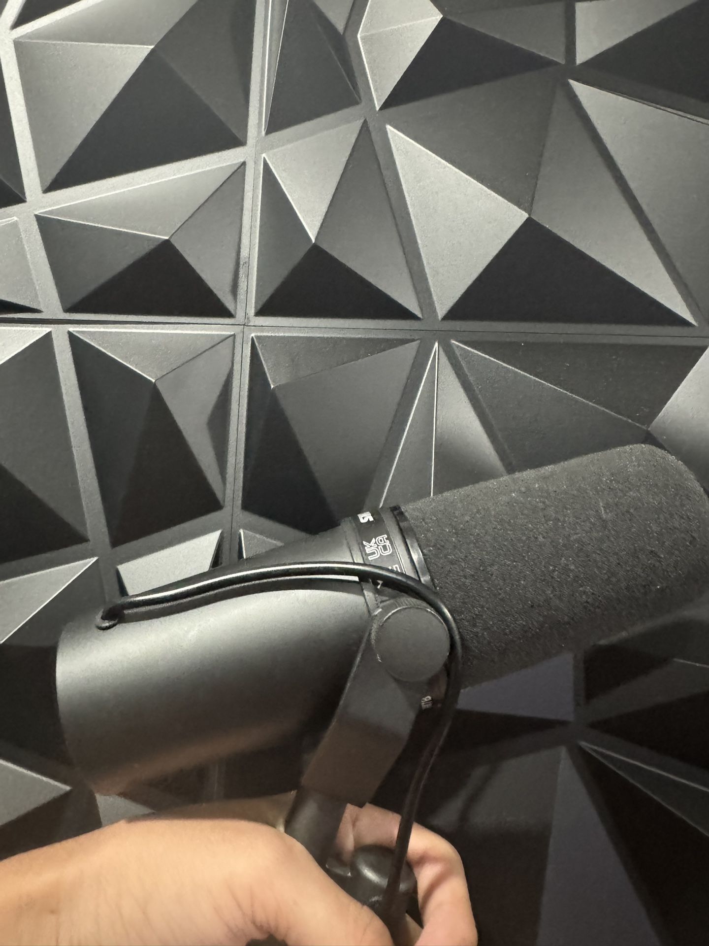 Microphone