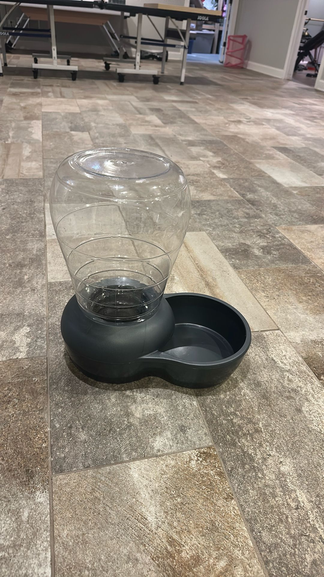 Dog Water Bowl 