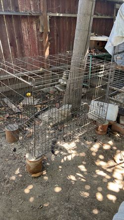 Cage