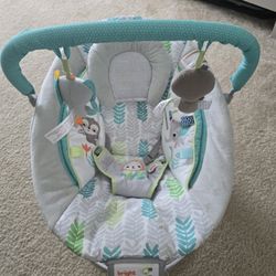 Baby Bouncer
