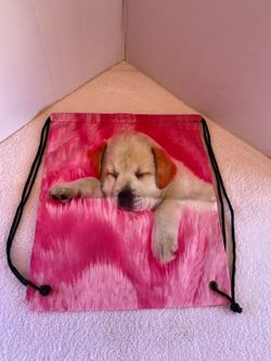 Sack packs puppy