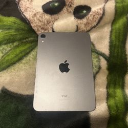 iPad Mini