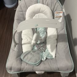 Ingenuity Baby Bouncer