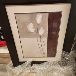 Framed Art