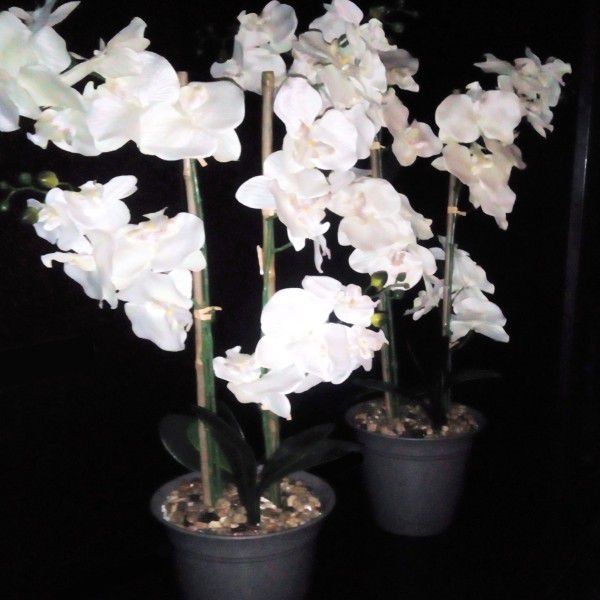 Two Fake Realistic Looking Orchid Plants In Pots Adjustable Stems New
