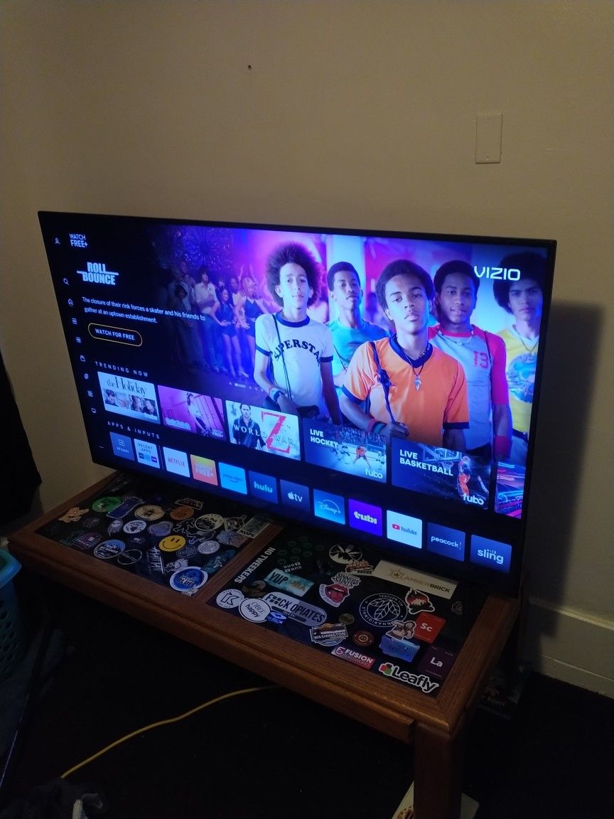 Vizio 55" TV