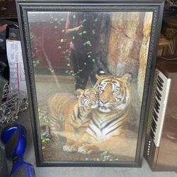 Large Picture