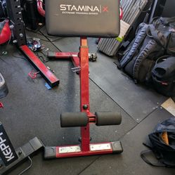 Stamina X Adjustable Back Raise And Exercise Bench